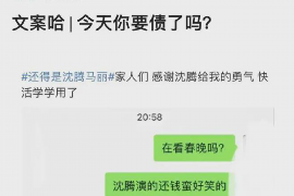 湘潭为什么选择专业追讨公司来处理您的债务纠纷？